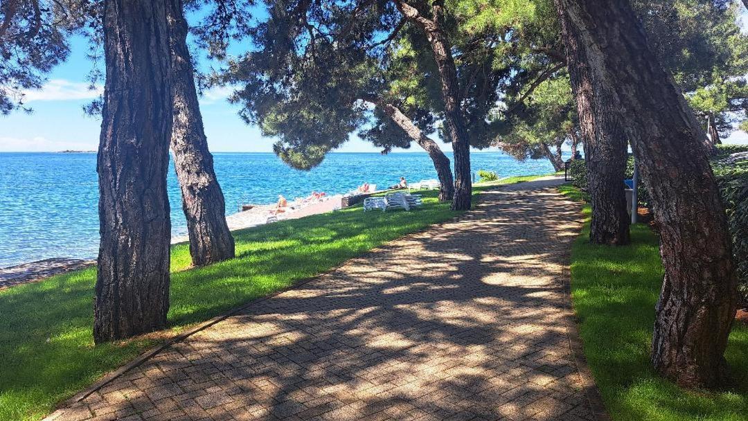 Apartmani Donna Poreč Exterior foto